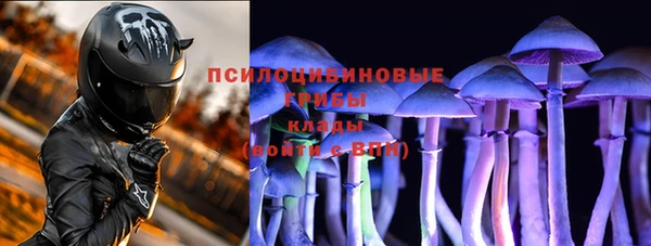 бутират Белокуриха